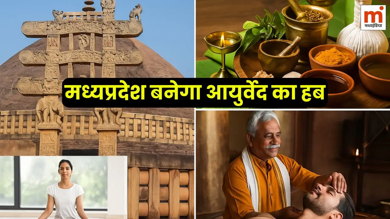 MP Ayurveda Hub