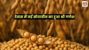 New Soyabean Rate