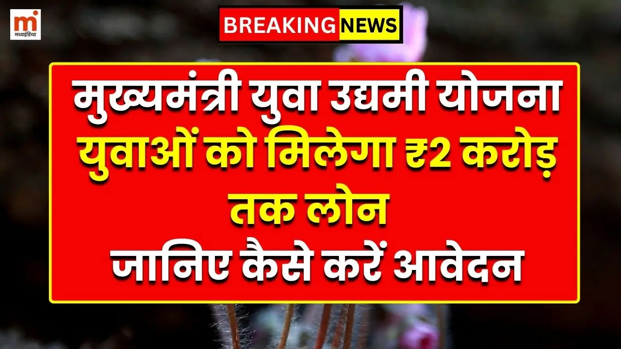 मुख्यमंत्री युवा उद्यमी योजना: युवाओं को मिलेगा ₹2 करोड़ तक लोन, जानिए कैसे करें आवेदन मुख्यमंत्री युवा उद्यमी योजना