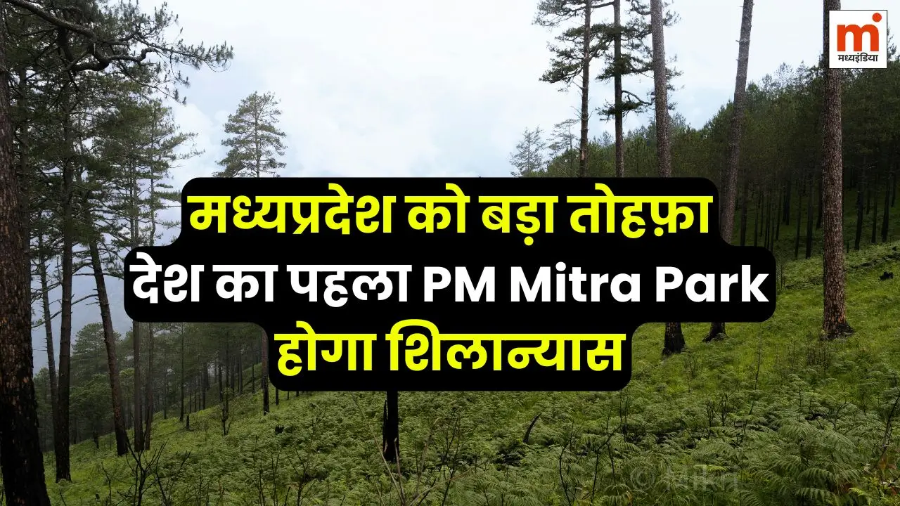 PM Modi 17 सितंबर को देंगे मध्यप्रदेश को बड़ा तोहफ़ा, देश का पहला PM Mitra Park होगा शिलान्यास 6 PM Modi मध्यप्रदेश को बड़ा तोहफ़ा देश का पहला PM Mitra Park होगा शिलान्यास