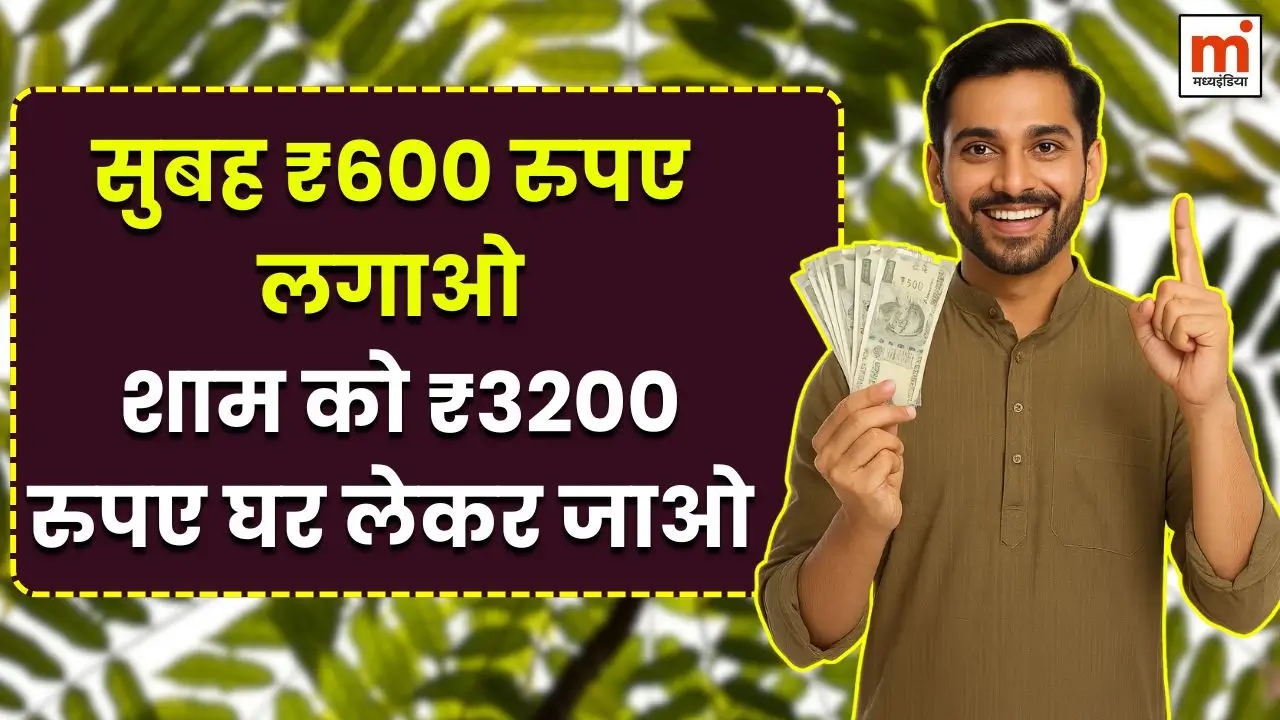 new-business-idea-600-investment-daily-income